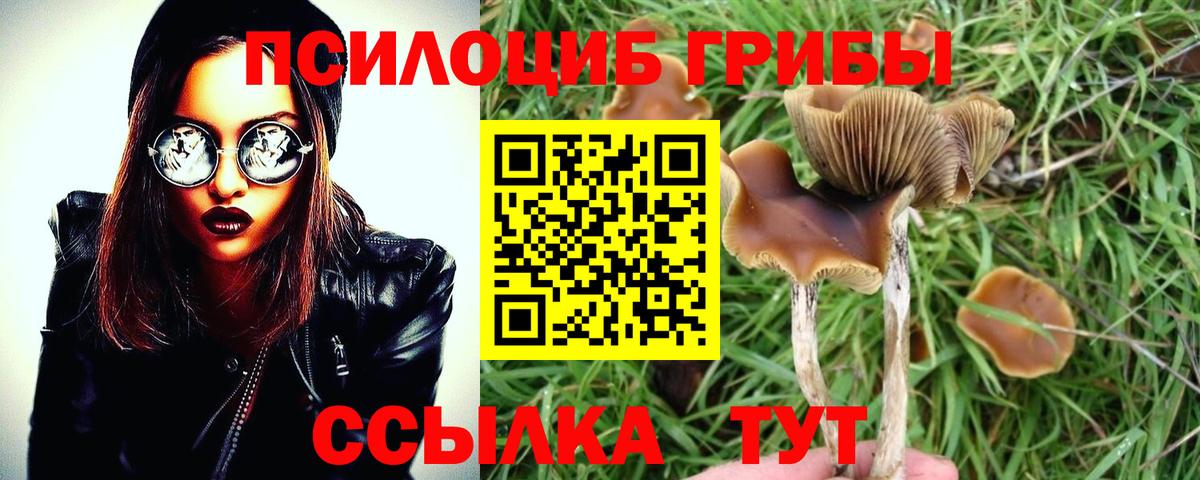 Псилоцибиновые грибы мухоморы  Псилоцибиновые грибы Psilocybine cubensis  Чебаркуль  Вход с VPN 